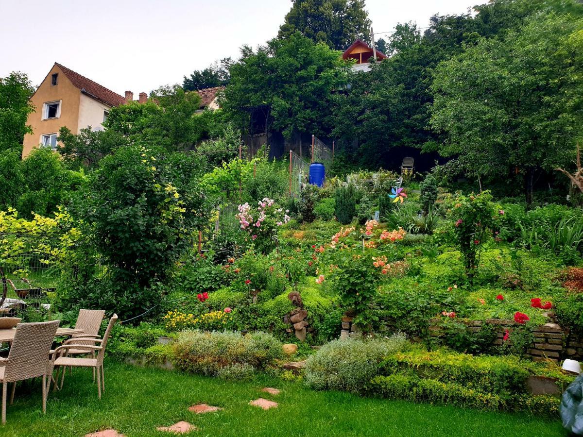 דירות סיגישוארה Casa Sperantei מראה חיצוני תמונה